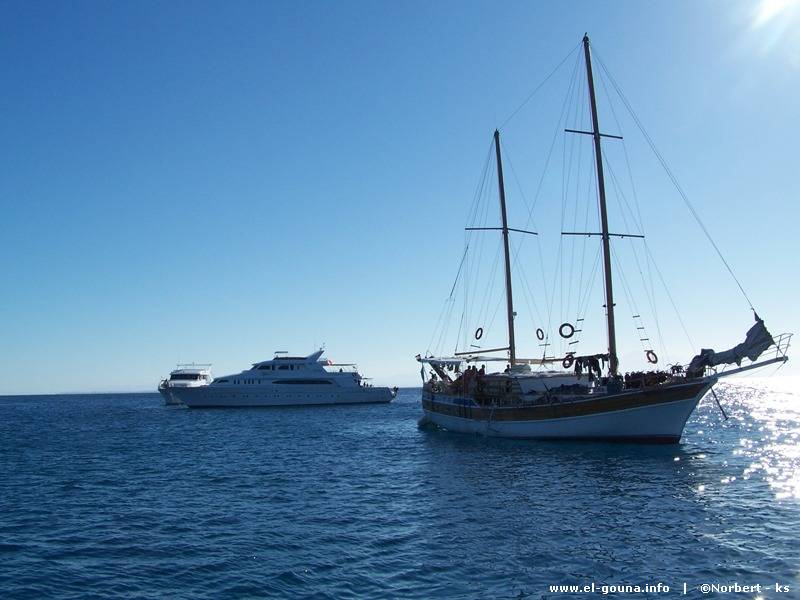 Delphin Tour 163